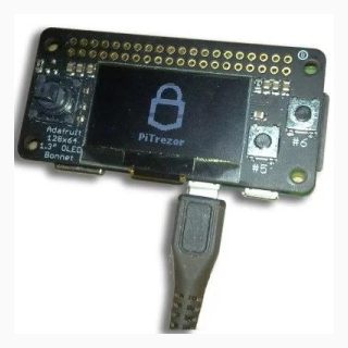 Pitrezor DIY